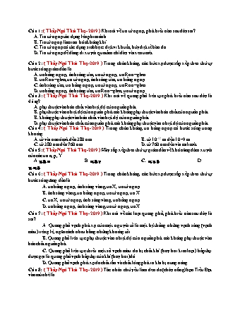 104 Câu trắc nghiệm tách từ đề thi thử THPT Quốc gia môn Vật lí - Sóng ánh sáng - Năm học 2019 - Ngô Thái Thọ (Có đáp án)