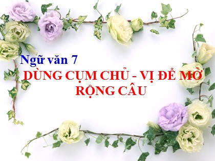 Bài giảng Ngữ văn Lớp 7 - Tiết 91: Dùng cụm chủ vị để mở rộng câu