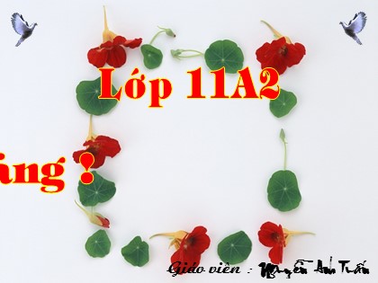 Bài giảng Vật lí Lớp 11 - Bài 13: Dòng điện không kim loại - Nguyễn Anh Tuấn