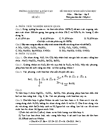 Đề thi học sinh giỏi Hóa học Lớp 9 - Đề số 1 (Có đáp án)