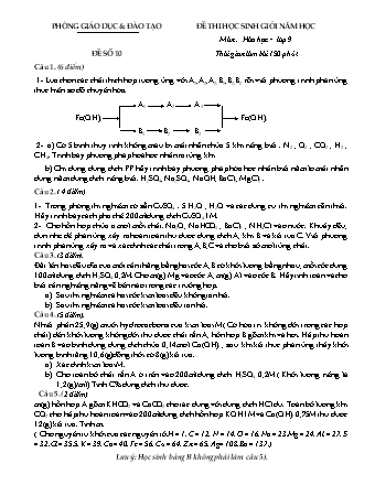 Đề thi học sinh giỏi Hóa học Lớp 9 - Đề số 10 (Có đáp án)