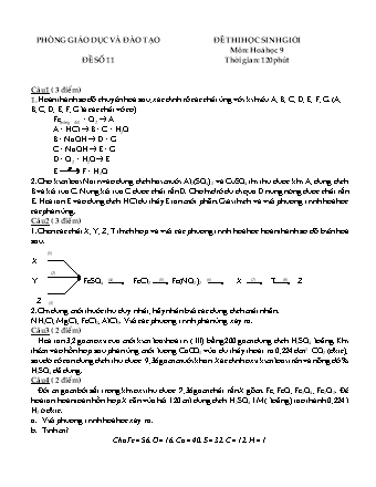 Đề thi học sinh giỏi Hóa học Lớp 9 - Đề số 11 (Có đáp án)