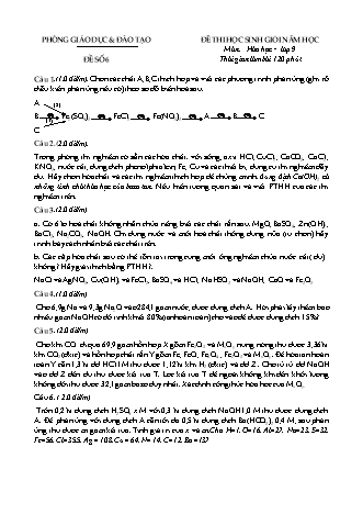 Đề thi học sinh giỏi Hóa học Lớp 9 - Đề số 6 (Có đáp án)
