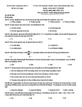 Đề thi thử kì thi Tốt nghiệp THPT Khoa học tự nhiên - Phần: Sinh học - Đề số 37 - Năm học 2021 (Có đáp án)