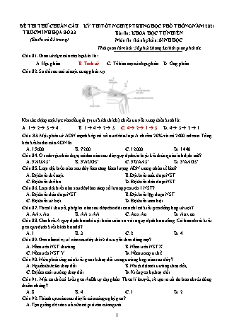 Đề thi thử kì thi Tốt nghiệp THPT Khoa học tự nhiên - Phần: Sinh học - Đề số 33 - Năm học 2021 (Có đáp án)