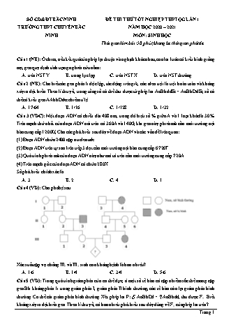 Đề thi thử THPT Quốc gia môn Sinh học - Lần 1 - Năm học 2020-2021 - Trường THPT chuyên Bắc Ninh (Có đáp án)