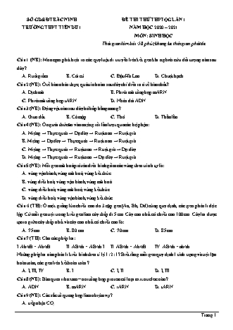 Đề thi thử THPT Quốc gia môn Sinh học - Lần 1 - Năm học 2020-2021 - Trường THPT Tiên Du (Có đáp án)