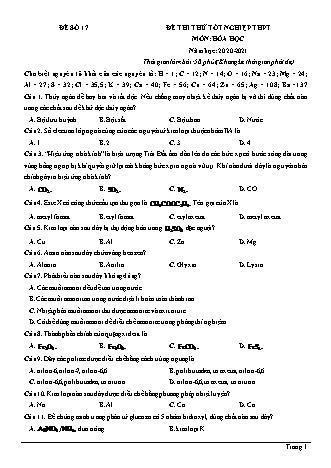 Đề thi thử Tốt nghiệp THPT môn Hóa học - Đề số 17 - Năm học 2020-2021 (Có lời giải chi tiết)