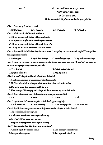 Đề thi thử Tốt nghiệp THPT môn Sinh học - Đề số 1 - Năm học 2020-2021 (Có đáp án)