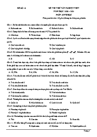 Đề thi thử Tốt nghiệp THPT môn Sinh học - Đề số 10 - Năm học 2020-2021 (Có đáp án)