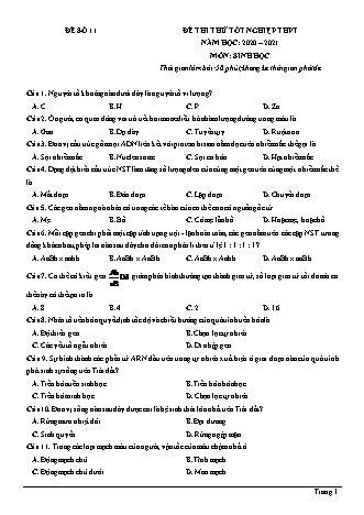Đề thi thử Tốt nghiệp THPT môn Sinh học - Đề số 11 - Năm học 2020-2021 (Có đáp án)