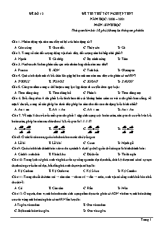 Đề thi thử Tốt nghiệp THPT môn Sinh học - Đề số 12 - Năm học 2020-2021 (Có đáp án)