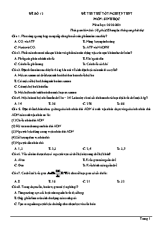 Đề thi thử Tốt nghiệp THPT môn Sinh học - Đề số 12 - Năm học 2020-2021 (Có lời giải chi tiết)