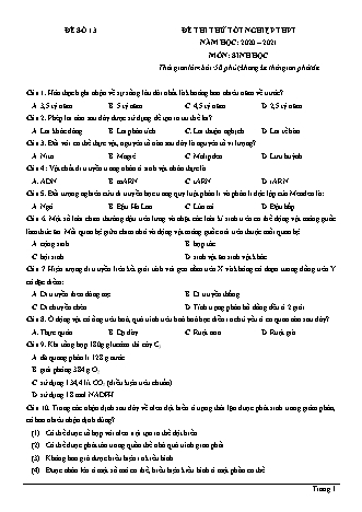 Đề thi thử Tốt nghiệp THPT môn Sinh học - Đề số 13 - Năm học 2020-2021 (Có đáp án)