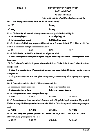 Đề thi thử Tốt nghiệp THPT môn Sinh học - Đề số 14 - Năm học 2020-2021 (Có lời giải chi tiết)