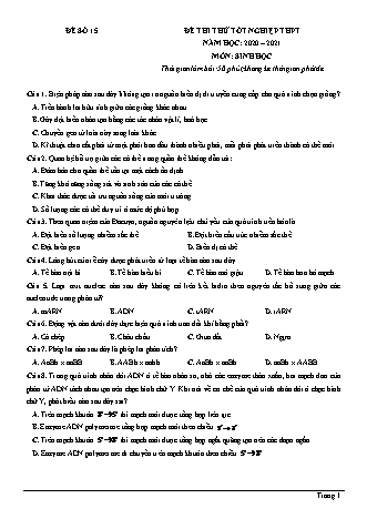 Đề thi thử Tốt nghiệp THPT môn Sinh học - Đề số 15 - Năm học 2020-2021 (Có đáp án)