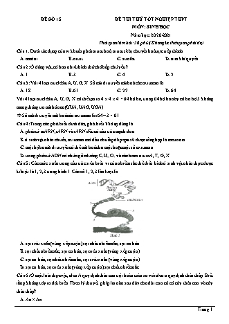Đề thi thử Tốt nghiệp THPT môn Sinh học - Đề số 15 - Năm học 2020-2021 (Có lời giải chi tiết)