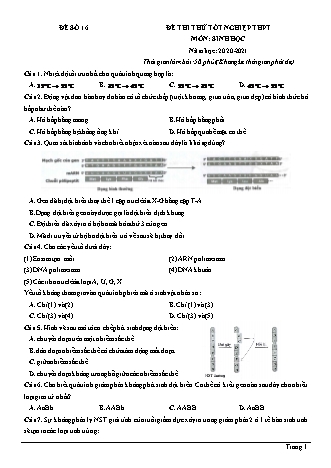 Đề thi thử Tốt nghiệp THPT môn Sinh học - Đề số 16 - Năm học 2020-2021 (Có lời giải chi tiết)