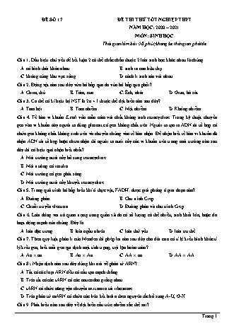 Đề thi thử Tốt nghiệp THPT môn Sinh học - Đề số 17 - Năm học 2020-2021 (Có đáp án)