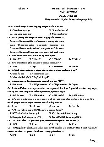 Đề thi thử Tốt nghiệp THPT môn Sinh học - Đề số 17 - Năm học 2020-2021 (Có lời giải chi tiết)