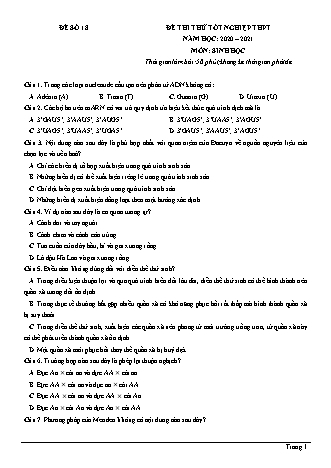 Đề thi thử Tốt nghiệp THPT môn Sinh học - Đề số 18 - Năm học 2020-2021 (Có đáp án)