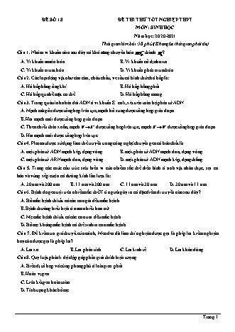 Đề thi thử Tốt nghiệp THPT môn Sinh học - Đề số 18 - Năm học 2020-2021 (Có lời giải chi tiết)