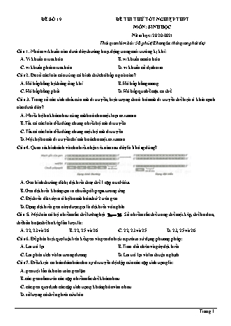 Đề thi thử Tốt nghiệp THPT môn Sinh học - Đề số 19 - Năm học 2020-2021 (Có lời giải chi tiết)