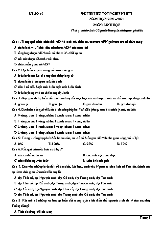 Đề thi thử Tốt nghiệp THPT môn Sinh học - Đề số 19 - Năm học 2020-2021 (Có đáp án)