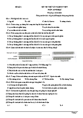Đề thi thử Tốt nghiệp THPT môn Sinh học - Đề số 2 - Năm học 2020-2021 (Có lời giải chi tiết)