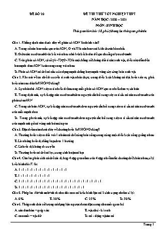 Đề thi thử Tốt nghiệp THPT môn Sinh học - Đề số 20 - Năm học 2020-2021 (Có đáp án)