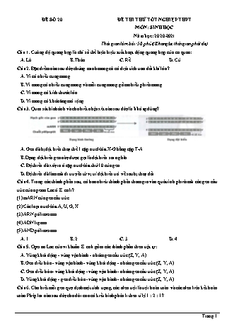 Đề thi thử Tốt nghiệp THPT môn Sinh học - Đề số 20 - Năm học 2020-2021 (Có lời giải chi tiết)