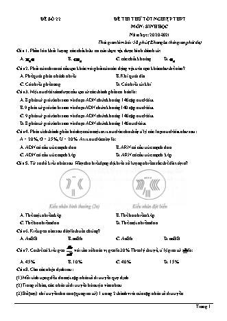 Đề thi thử Tốt nghiệp THPT môn Sinh học - Đề số 22 - Năm học 2020-2021 (Có lời giải chi tiết)