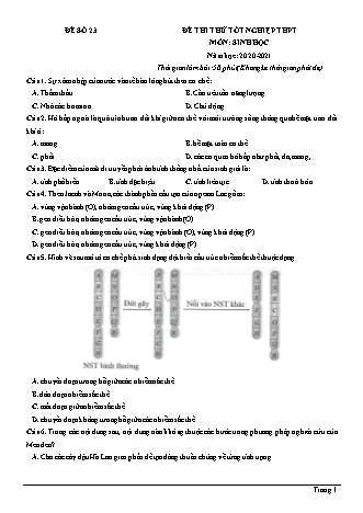 Đề thi thử Tốt nghiệp THPT môn Sinh học - Đề số 23 - Năm học 2020-2021 (Có lời giải chi tiết)