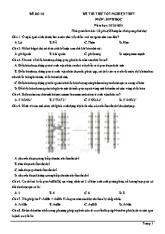 Đề thi thử Tốt nghiệp THPT môn Sinh học - Đề số 25 - Năm học 2020-2021 (Có lời giải chi tiết)