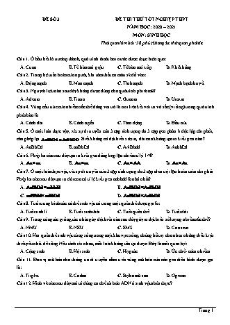 Đề thi thử Tốt nghiệp THPT môn Sinh học - Đề số 3 - Năm học 2020-2021 (Có đáp án)