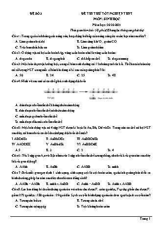 Đề thi thử Tốt nghiệp THPT môn Sinh học - Đề số 3 - Năm học 2020-2021 (Có lời giải chi tiết)