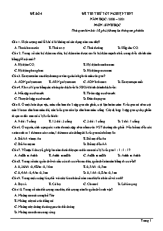 Đề thi thử Tốt nghiệp THPT môn Sinh học - Đề số 4 - Năm học 2020-2021 (Có đáp án)