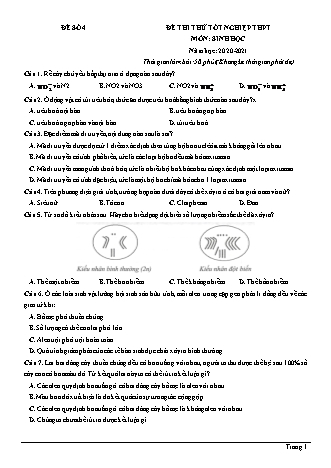 Đề thi thử Tốt nghiệp THPT môn Sinh học - Đề số 4 - Năm học 2020-2021 (Có lời giải chi tiết)