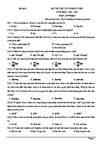Đề thi thử Tốt nghiệp THPT môn Sinh học - Đề số 5 - Năm học 2020-2021 (Có đáp án)