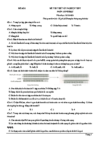 Đề thi thử Tốt nghiệp THPT môn Sinh học - Đề số 5 - Năm học 2020-2021 (Có lời giải chi tiết)