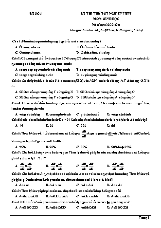 Đề thi thử Tốt nghiệp THPT môn Sinh học - Đề số 6 - Năm học 2020-2021 (Có lời giải chi tiết)
