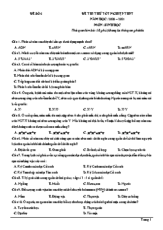 Đề thi thử Tốt nghiệp THPT môn Sinh học - Đề số 6 - Năm học 2020-2021 (Có đáp án)
