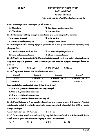 Đề thi thử Tốt nghiệp THPT môn Sinh học - Đề số 7 - Năm học 2020-2021 (Có lời giải chi tiết)