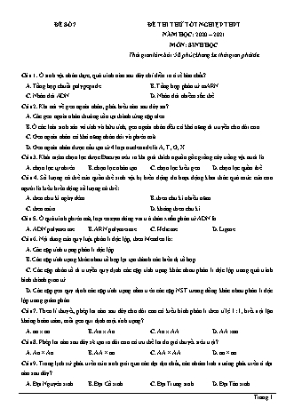 Đề thi thử Tốt nghiệp THPT môn Sinh học - Đề số 7 - Năm học 2020-2021 (Có đáp án)