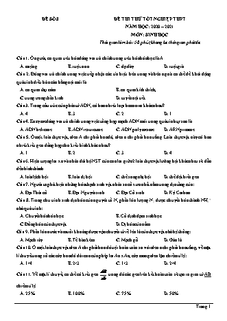 Đề thi thử Tốt nghiệp THPT môn Sinh học - Đề số 8 - Năm học 2020-2021 (Có đáp án)