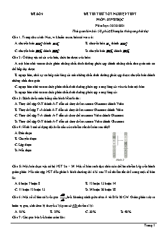 Đề thi thử Tốt nghiệp THPT môn Sinh học - Đề số 9 - Năm học 2020-2021 (Có lời giải chi tiết)