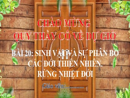 Bài giảng Địa lí Lớp 6 Sách Chân trời sáng tạo - Bài 20: Sinh vật và sự phân bố các đới thiên nhiên. Rừng nhiệt đới