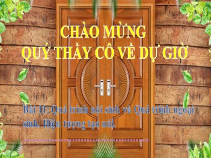 Bài giảng Địa lí Lớp 6 Sách Kết nối tri thức với cuộc sống - Bài 11: Quá trình nội sinh và quá trình ngoại sinh. Hiện tượng tạo núi