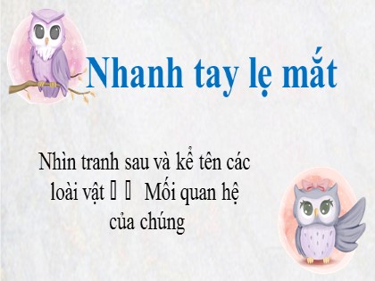 Bài giảng môn Ngữ văn Lớp 8 - Cấp độ khái quát nghĩa của từ