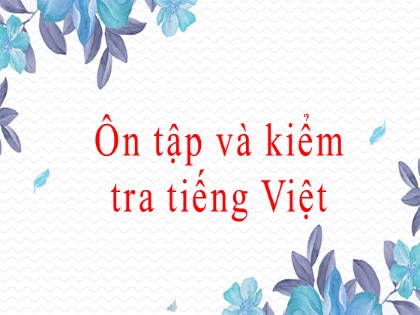 Bài giảng môn Ngữ văn Lớp 8 - Ôn tập và kiểm tra Tiếng Việt